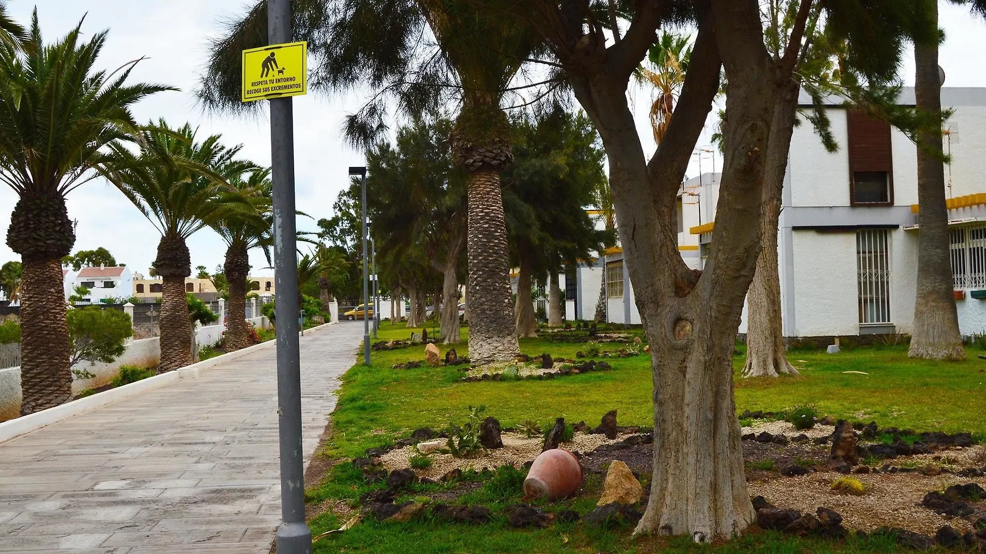 Studio In Santa Cruz De Tenerife, With Pool Access, Furnished Garden A Arona  0*, Arona (Tenerife) Spain