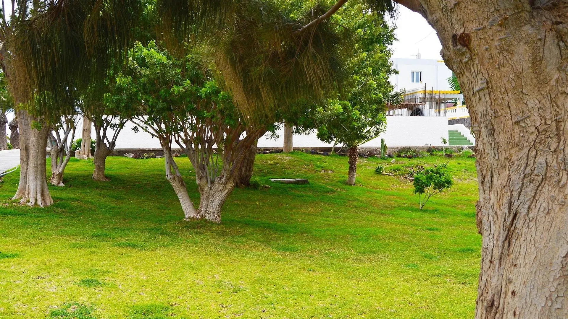 Studio In Santa Cruz De Tenerife, With Pool Access, Furnished Garden A Arona  Spain